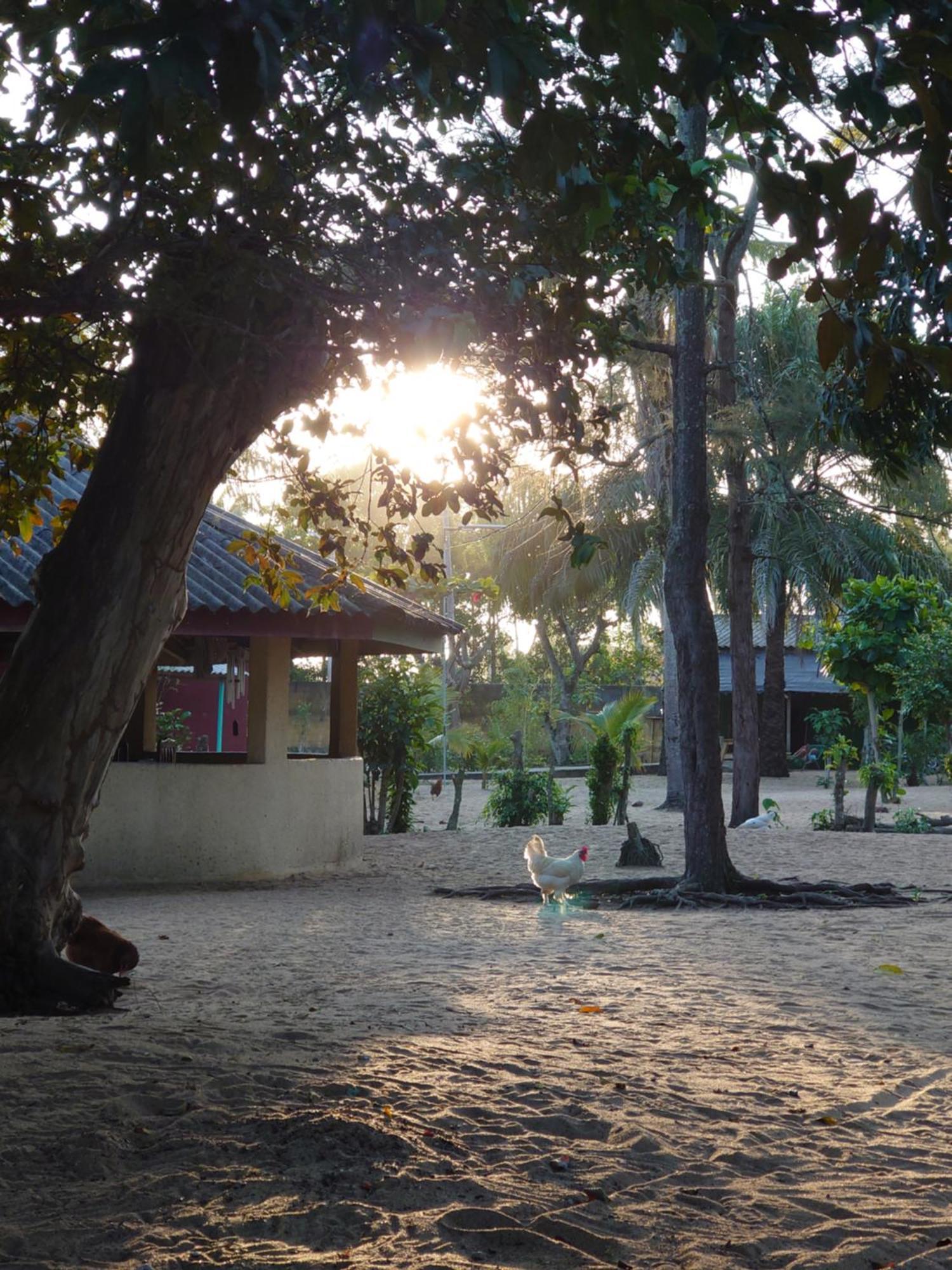 Rundbungalow Auf Lionsrest Grand-Bassam Luaran gambar